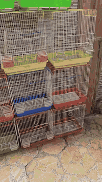 شباب الاسعار بلفيديو الاستفسار 07735724849