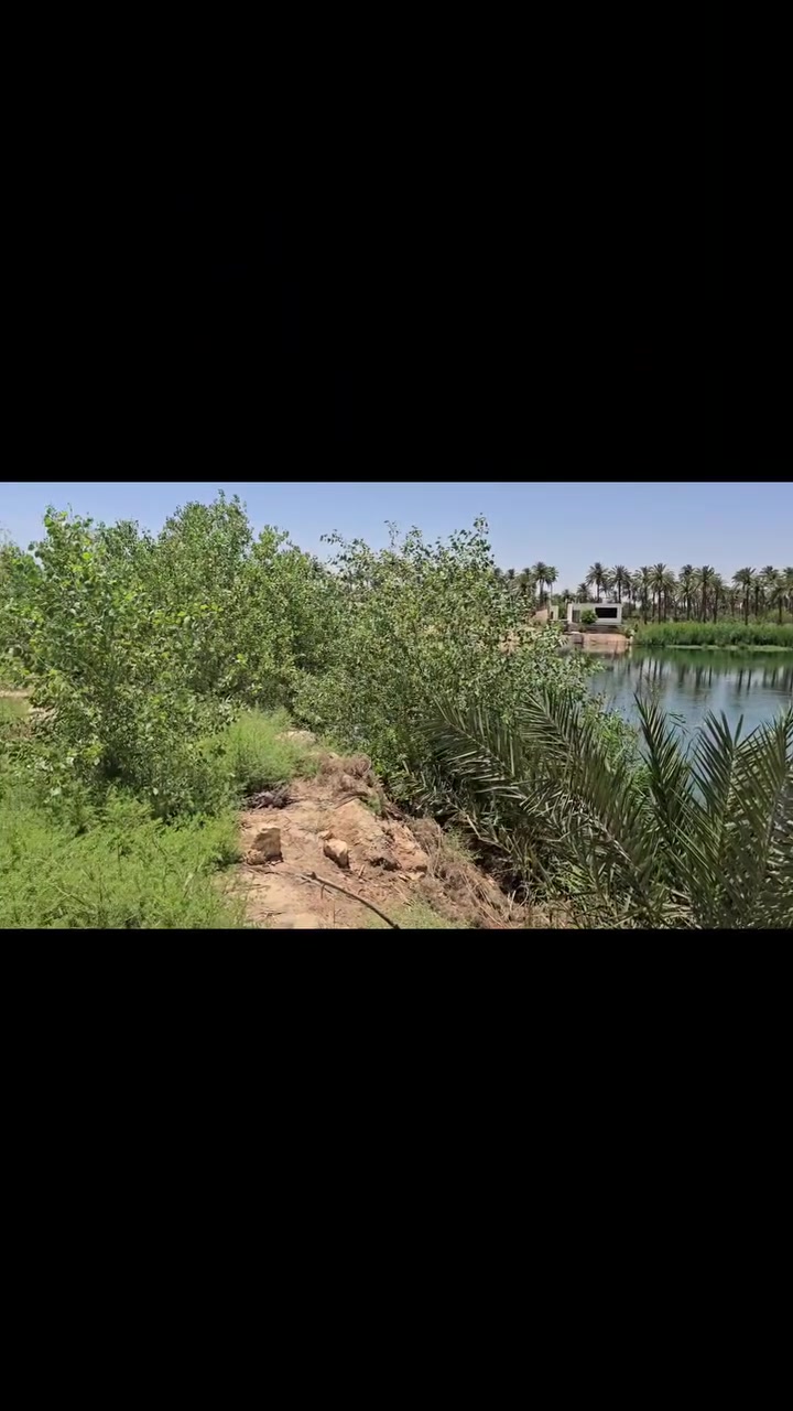 أرض زراعية للبيع 

🔴 التفاصيل 

🔹️ مطلة على شط الكوفة 
🔹️ على الشارع العام 
🔹️ العرض 25 متر 
🔹️ النزال 100 متر 
🔹️ مساحة الأرض الكلية 1 دونم 
🔹️ مسيجة بالكامل 
🔹️ طابو زراعي سند 25 
🔹️ متوفره جميع الخدمات 

🔴 السعر 200 مليون 

🔸️الموقع : الكوفة شارع ال عيسى 
 
للتواصل والاستفسار 
***********
***********
