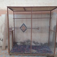 بسبب الوعود الكاذبه ارتفاعه مترتين  عرض 85 وطول مترتين والضهر سيم  مرب...