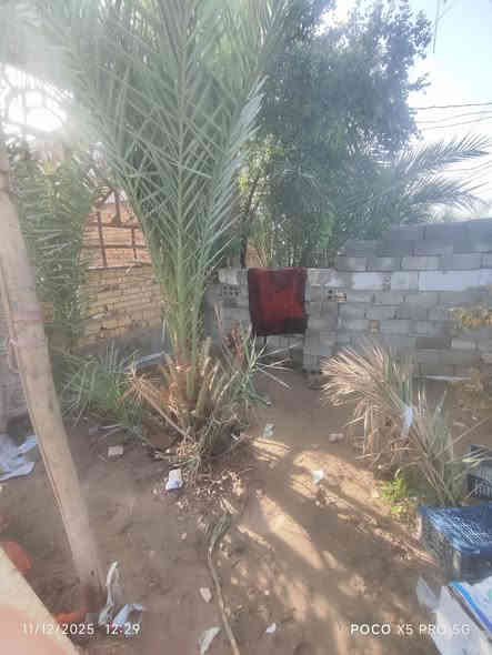 بيت للبيع مساحه 350متر متكون من ستقبال وصاله وغرف عدد 3وصحيات وطارمه كبيره  روقم الاستفسارا *********** وره جامع أبو حميدي
