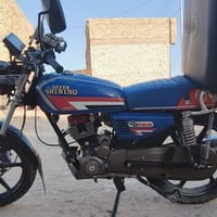 شايننج • ٢٠٢٣ • اوراق اصلية