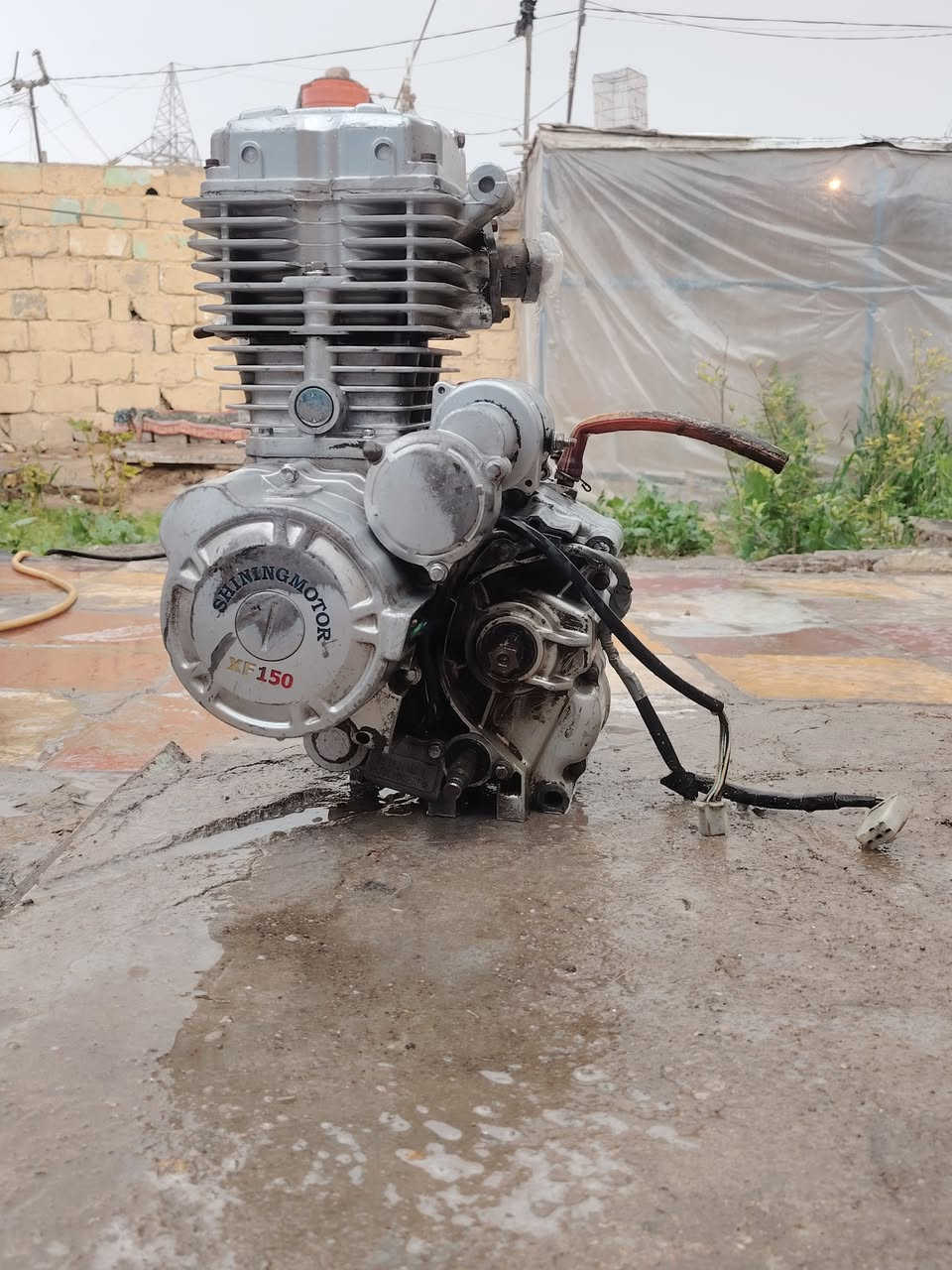 سلام عليكم  اقره قبل لاتعلق محرك 22 ابلادي  شرط تشغيل من اول هندر وصبح محرك مثل ماوضح بالصور اكبالك نقصه برغي مال قبق باس ماكو نضيح ونقصه اكلجات لئن اكلجاته تعبانه غير شي يرجع المحرك  السعر 100 الف قابل للتفاوض مكان بابل مجسر طريق حله نجف


**إذا كنت صاحب هذا الإعلان وتريد حذفه لأي سبب، رجاءا أرسل رسالة إلى الدعم الفني**