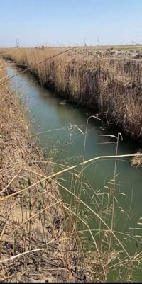 بدل ما تشتري 50 متر ببغداد وسعرها يوصل لـ60 مليون 🤯 هنا تكدر تمتلك 250...