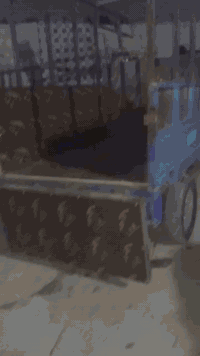 ستوته امتي ار • بدون اوراق • ضايعه