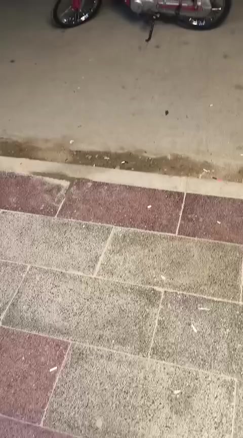 سلام عليكم دراجه نامه شاصي بارت ومكينه شلامجه كلك كلك تعمير كله جديد سعر 550 وبيها مجال سوق الشيوخ ***********
