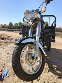 ستوته • ٢٠١٤ • شاصي مكفول