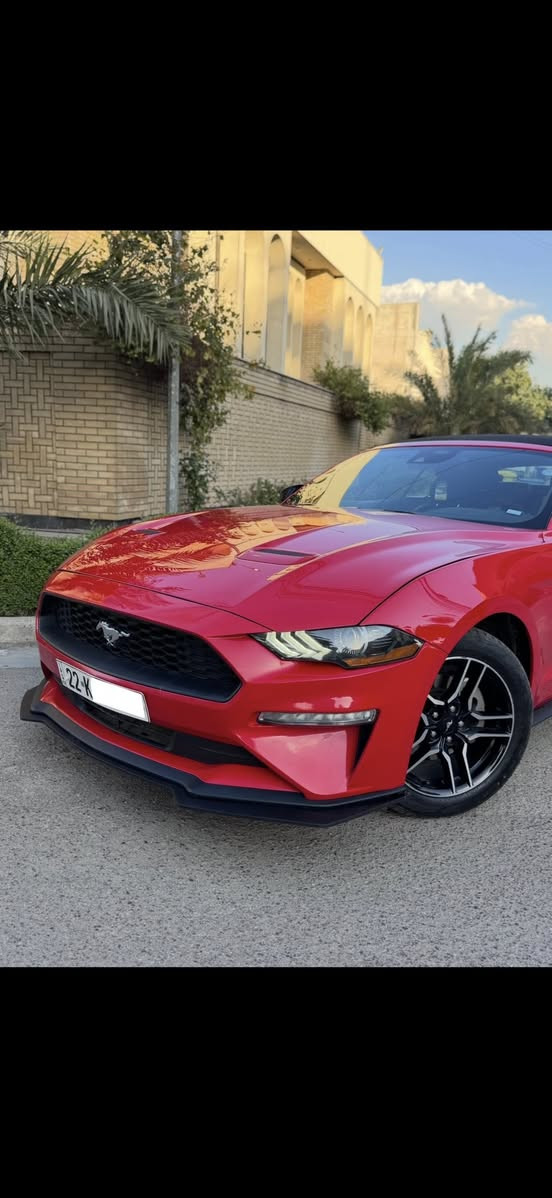 السلام عليكم
Mustang Premium 2022 1/1
ايكوبوست بجم كبس 
رقم اربيل باسمي
موصفات 
كشف
بصمه 
ترحيب 
تشغيل عن بعد 
كشنات تدفئه
كشنات تبريد 
سترين تدفئه  
وضعيات قياده
رادار امامي 
رادار جانبي نقط عمياء 
حساسات اماميه 
حساسات خلفيه 
شاشه كبيره 
وبعد بيها موصفات فول موصفات اعلى شي السياره 

سياره جديده بمعنى الكلمه محرك كفاله كير كفاله صدرها كهربائياتها تخم تاير جديد تبريد ثلج سياره كفاله بوضع شركه ادامه على المحرك من زيوت وفلاتر وبلكات 

طختها باب السايق والجاملغ وره السايق والباقي كله كفاله ونفسه مصلح يعني سياره بيها صبغ جاملغ خلفي وباب السايق والباقي كله كفاله سياره بجم كبس سياره مناسبه وحلوه مقارنه بالسيارات الي بيهم بجم وخمس قطع شوف السوك يلا تعلق وتخابر 🤍

رايدها ب166 ورجاء مو شراي لتعلق وتعبني كلمه طيبه منك واعبر المنشور حبيبي انت🤍
للاستفسار ***********
مكاني بغداد الوزيرية
