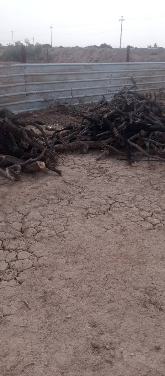 حطب للبيع أتصل واتساب وتدلل ***********
