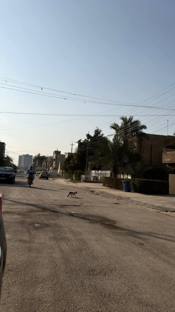 السلام عليكم ورحمه الله وبركاتهُ
#يعلن_مكتب_تبوك_للعقار

دار للبيع مساحة 300م واجهة 15م نزال 20م ✅️

على شارع 20م ورصيف 5م موقع ممتاز جداً 

يباع كامل او تقطيع حسب الطلب

📌 الموقع :حي الجهاد _ ضباط الملحانية _ خلف شارع 40  مجاور مجمع الروان ومجمع النسيم السكني 

للأستفسار :*********** وسـام ☎️
