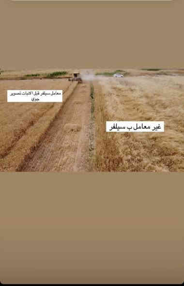 حل مشكلة الادغال المستعصية في حقول الحنطة 
بسيط جدا وفي متناول اليد سلفر قبل الانبات  
 مميزاته
١.آمن ١٠٠٪على بذور الحنطة 
٢. ساحق لبذور الادغال الرفيعة 
خالي من اي أثر متبقي 
مكتب المنزلة الزراعي 
توزيع في كافة انحاء العراق 
‏‪***********واتساب 
***********
