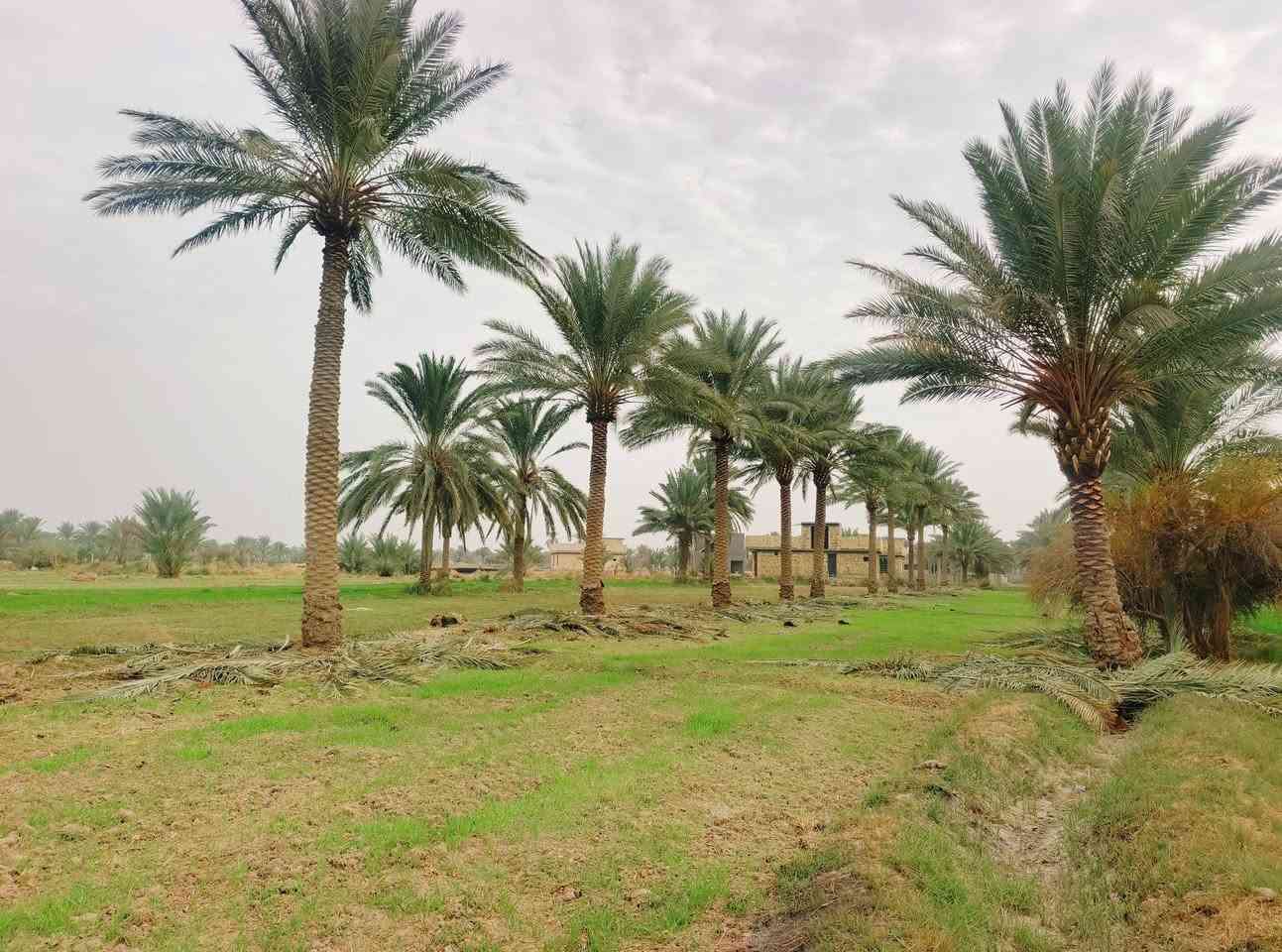 السلام عليكم ارض طابو زراعي سند/25/المساحه. دونم
الموقع خلف جامعه بابل / 
للاستفسار 
محمد رشيد ‏‪***********‬‏
منتظر الصليخي ***********
                        ***********
