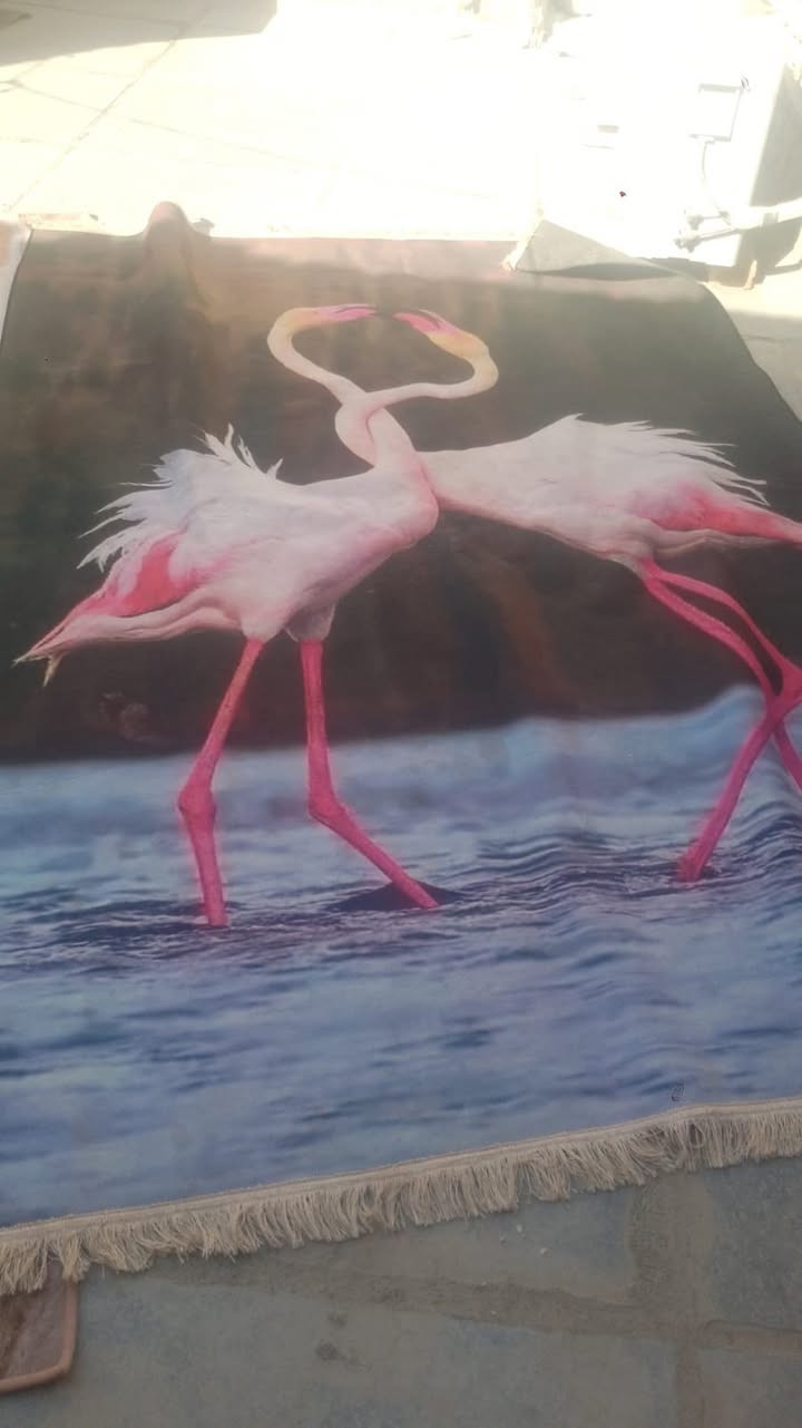 موكيتات نضيفات للبيع اكبار.  سعر واحد ب 10 
مكان ناصريه مركز


**إذا كنت صاحب هذا الإعلان وتريد حذفه لأي سبب، رجاءا أرسل رسالة إلى الدعم الفني**