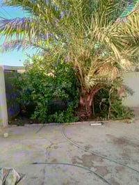 شارع نعيم • ٣٠٠م • غرفتين