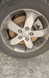 تخم ويل كب للبيع حجم 16 السعر 150 وبي مجال 07702534734