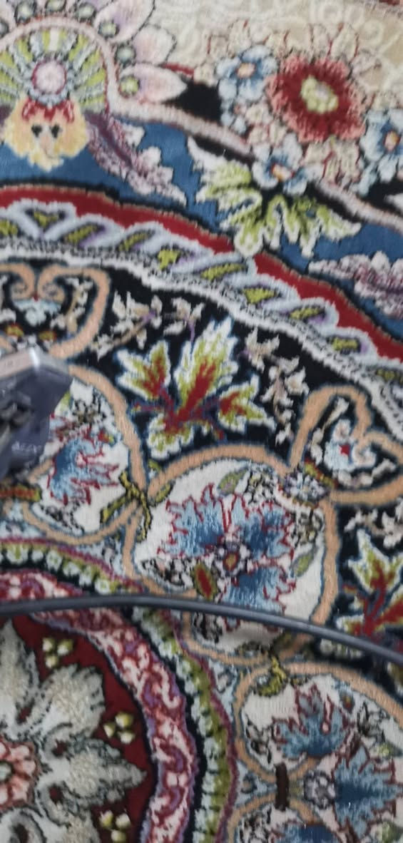شلعة كلهن بسعر مناسب طيب ابيع


**إذا كنت صاحب هذا الإعلان وتريد حذفه لأي سبب، رجاءا أرسل رسالة إلى الدعم الفني**