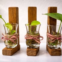 ديكور خشب • نبات طبيعي • ٣ قطع