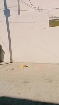 بيت للبيع مساحة ١٠٠متر  مكانة شارع البدراج خدمات كاملة سعرة ٦٣مليون وب...