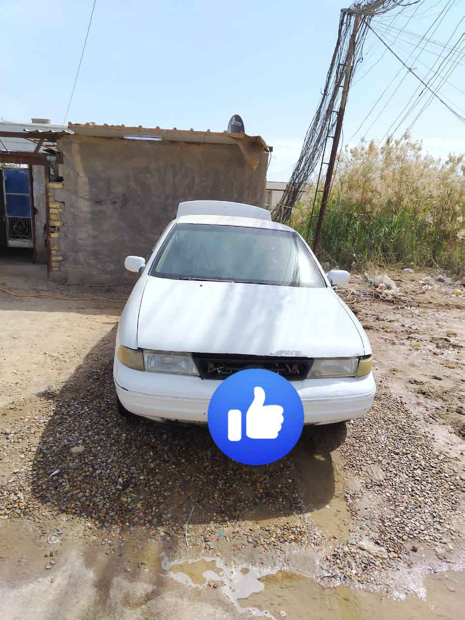 سلام عليكم 
للبيع كيا سيفيا 94 رقم بابل 
لون ابيض دوخل لون بيجي 
مكينه مفتوح 
كير عادي 
تبريد شغال ثلج 
حداديه 
تخم تاير كله جديد 
سياره كامله 
ملاحضه لكير بي قره  ماعرف عين وصنيه مادري ابيك كير 
سعر 28 وبيه مجال  معده لكير سياره حلوه وكاعده. 
مكاني بابل رقم *********** اني مكلف بل نشر
