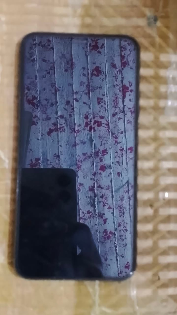 سلام عليكم آيفون 11برو ماكس كلشي ما مفتوح ابيه ذاكره 256بطاريه 74السعر خاص كرتونها مجوده مالته


**إذا كنت صاحب هذا الإعلان وتريد حذفه لأي سبب، رجاءا أرسل رسالة إلى الدعم الفني**