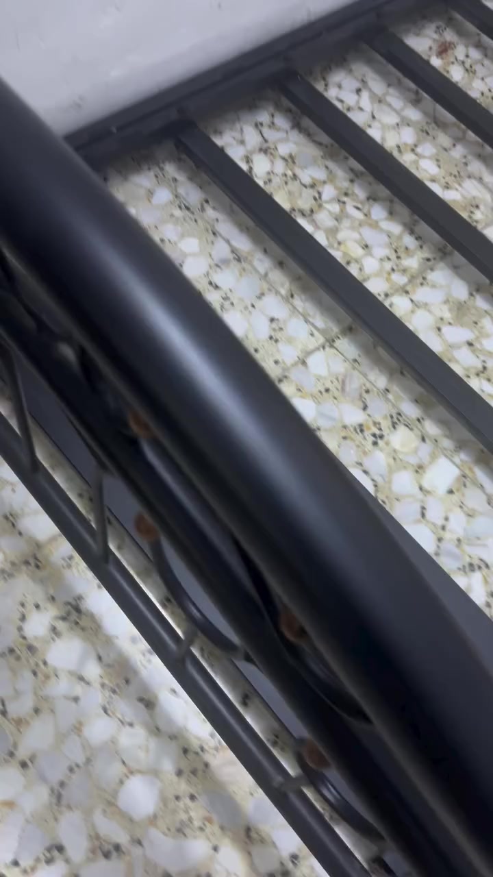 للبيع الزعفرانيه جديده ب١٠٠


**إذا كنت صاحب هذا الإعلان وتريد حذفه لأي سبب، رجاءا أرسل رسالة إلى الدعم الفني**