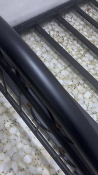 الزعفرانيه • جديده • سرير