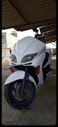 فورزه • ٨٠٠ • مكفوله