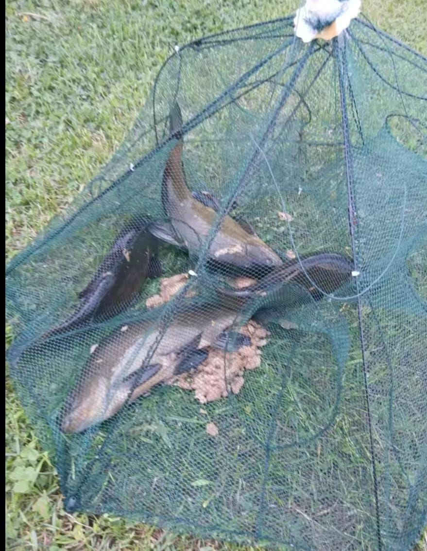 🐟🐠🐡🦀🦞🦐🦑

*جوبيا+صيد+الاسماك*

عبارة+عن+شبكة+عنكبوتية🕸️+تدخل+الاسماك+من+الجيوب+لتاكل+بداخلها+ولا+تعرف+الخروج+مرة+اخرى🤪🤪+جيوب+الدخول+تختلف+عن+جيوب+الخروج+يدخل+فيها+جميع+انواع+السمك+🦞🦀🐟 الصحراء الغربية


**إذا كنت صاحب هذا الإعلان وتريد حذفه لأي سبب، رجاءا أرسل رسالة إلى الدعم الفني**