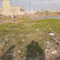 قطعة أرض زراعي البيع بشطب مساحه ٢٥٠ متر رقم هاتف ٠٧٧٢٣١٣٥٨١٥