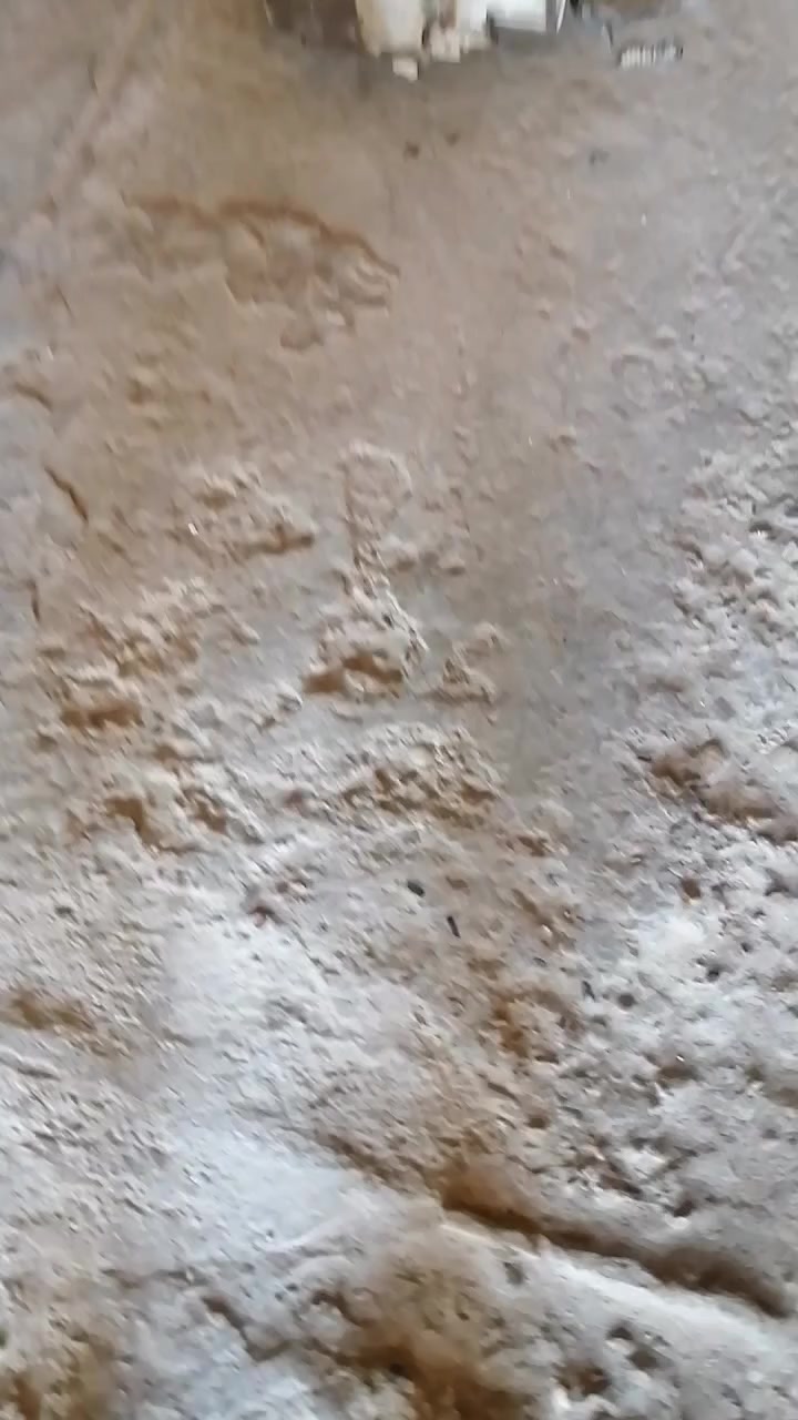 سلام عليكم تفاصيل بلفيديو الخالص ***********
