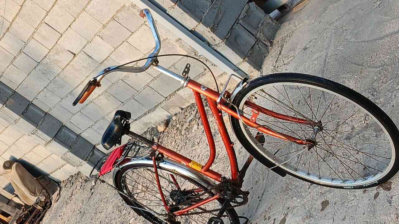 للبيع فقط 
باسكل الون مشمشي 
حجم 26 مداكر وجسد كله نضيف 
تايرات جدد تيوبات جدد 
بريك شغال 
مابي نقص برغي 
السعر مناسب$  40 وبي مجال حك الجيه 
متواجد  📲 واتساب *********** 
شراي يراسلني ويشلع اعيوني العنوان البصره قضاء الامام الصادق
