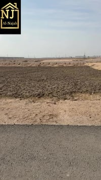 النرجس 6000 • نص قطعة • ١١٠م