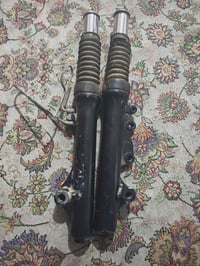 ثعلب • دبلات شغال • الغزالية بغداد