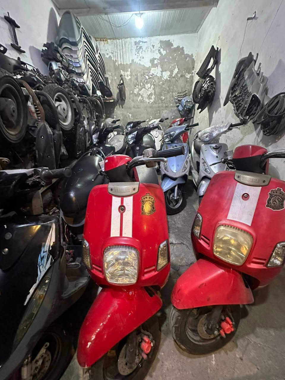 يا الله تم وصول وجبه دراجات ماكس عدله وقجمه وبوليس وسكنس جبلي كفاله عامه المكان بصره ابي الخصيب نهر خوز يم حلاوه نهر خوز المصطفى الاستفسار عل الأرقام التالية ***********
*********** وشرط ما ملعوب بيهه ويوجد لدينا اقصاد عل ماستر كي كارد الرافدين وبدون مقدمه وكل الهلا بيكم
