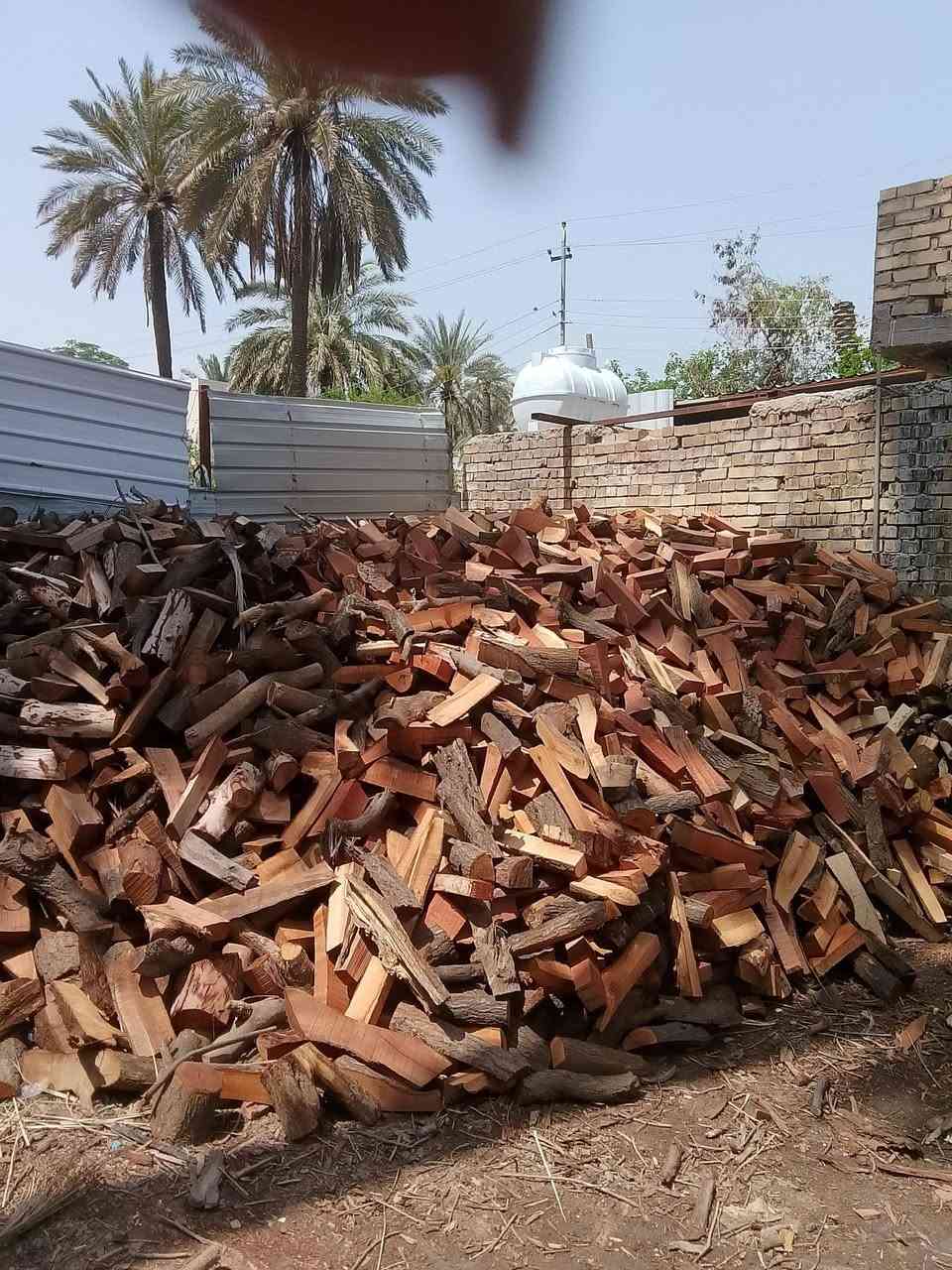 مستعدون تجيهيز حطب طبخ تصل ودلال ***********
