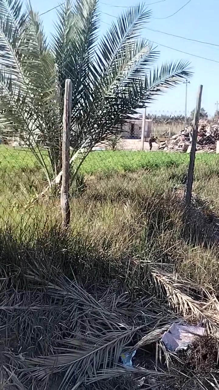 قطعه بمساحه 1400 م سند 25  تحتوي ع دارين والباقي قظعه بمساحه 600 متر  يبعد عن شارع زيد عليه السلام 200 متر وعن شارع العلويه اسماء 150 متر ..كما مبين في الفيديوات  ...
بسبب الوعود الكاذبه… يااخي اذا ماتشتري لا تنافس الناس وتروح 

الاول طابوك...صب كونكريت  ..يجتوي علئ ثلاث غرف  وصاله ومطبخ واستقبال ومجمع صحيات غير ملبوخ 

الثاني بلوك بمساحه ٢٥٠ متر عكاده ملبوخ جص 
يحتوي ع غرفه وصاله واستفبال ومطبخ وصحيات خارجيه  وبيتونه 
فقط يحتاج للبورك   وارضيه بورسلين

السعر 90 وبيه مجال للشراي… ***********
قطعه بمساحه 1400 م سند 25  تحتوي ع دارين والباقي قظعه بمساحه 600 متر  يبعد عن شارع زيد عليه السلام 200 متر وعن شارع العلويه اسماء 150 متر ..كما مبين في الفيديوات  ...
