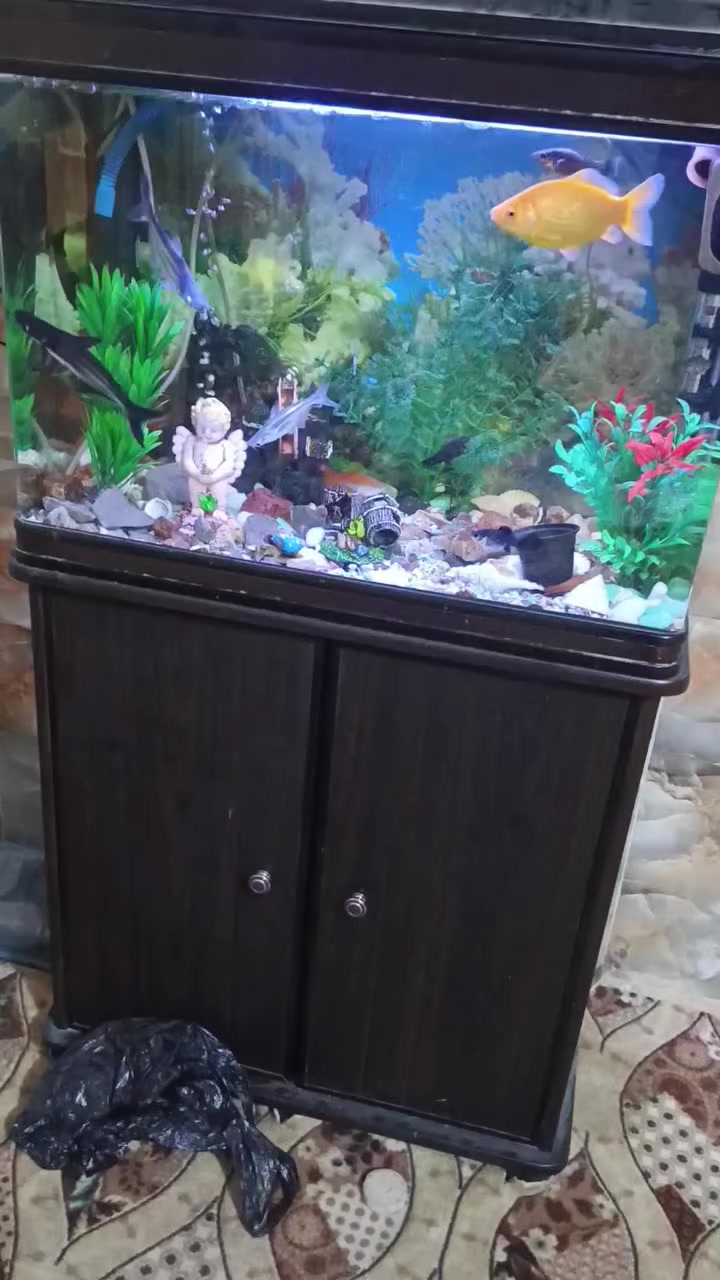 حوض سمج  زينه قياس 60 مع كافة ملحقاته والسمج للبيع السعر 225 مكان كربلاء امن الداخلي


**إذا كنت صاحب هذا الإعلان وتريد حذفه لأي سبب، رجاءا أرسل رسالة إلى الدعم الفني**