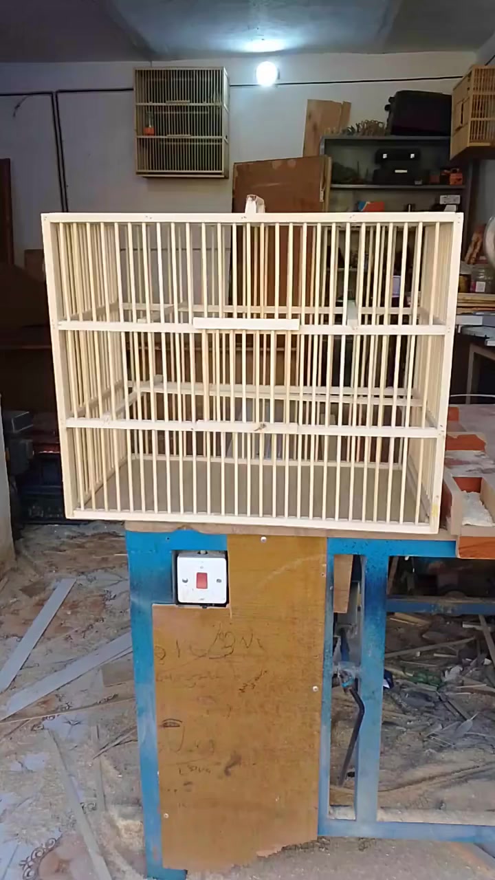 العنوان: الرفاعي شارع كلية الزراعة قرب مهدي الشويلي لمستلزمات الطيور
الرقم:***********
