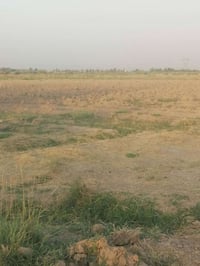 ٥٥ دونم • طابو زرعي • واجهه شط وكهرباء