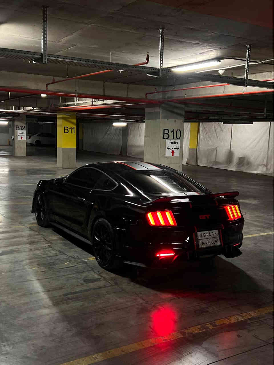 ‏Mustang 2016 V6
كير محرك اكسل شرط
صبغ بوند محدث واربع قطع ابيع حزام 
ايرباك دشبول مطاك 
ماشيه١٠٦ mi
صدر امامي خلفي جديد
تبريد كهربائيات شرط
الاضافات
دعاميه شيلبي
لحية شيلبي
سبويلر جيتي 
كزوز روش دبات
دفيوزر 
داخل كاربون فايبر كامل حتى قعده مال تبريد كاربون فايبر
 ويل ٢٠ نقشه حلوه
تايرات نظيفه
لايتات نشره 
 كوشن كهربايي
كزوز رياضي فصله و طلاقات
سياره شرط مابيها مصرف نهائيه
رقم اربيل 
تحويل شرط باسم شركة 
مكان سياره دهوك
سعر 136$
‏Watsapp *********** أربيل, العراق
