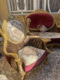 نص تخم مصري سعر مناسب للبيع ٠٧٧٢٦١٠٠٨٤١