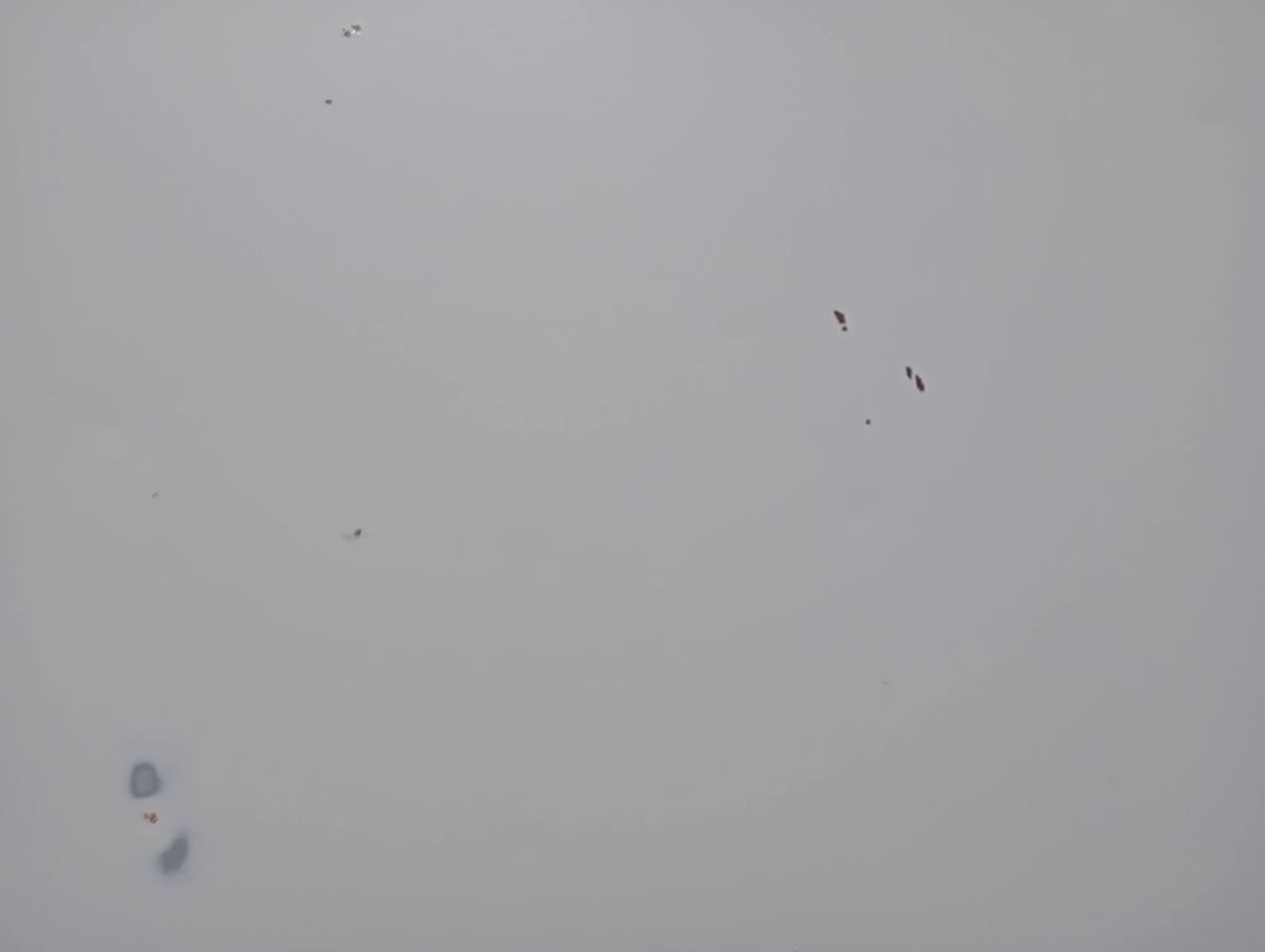 سلام عليكم بطه للبيع متصل رقم بصره بسمي مشروع وطني السنويه لقايت 27 مكفولة كفاله عامه من الضربه والكص ونقل ومن الصبق كهربائيات شقاله شاشه كامله بس التبريد عوزه غاز فقط السعر 50 وبيه مجال بسيط العنوان بصره الزبير رقم ***********
