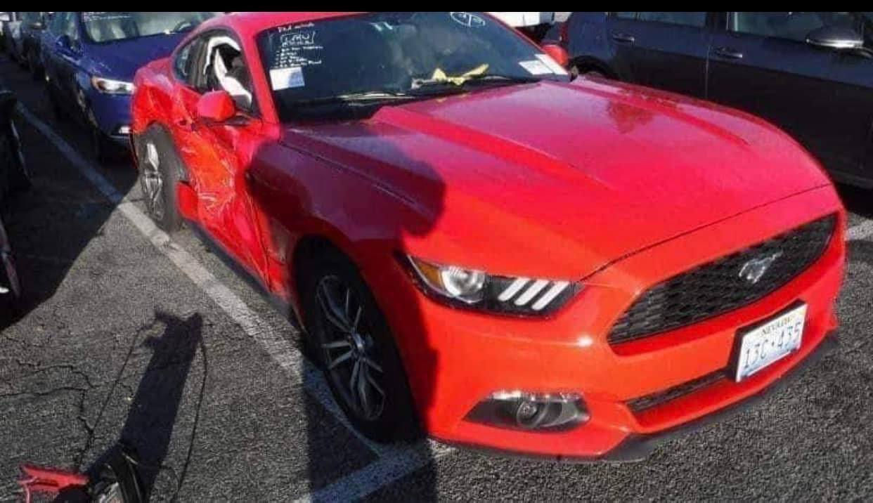 موستنك ٢٠١٦ يكو
سيارة جاهزة من مكينة كير ما مفتوح كهريايات كلها شغال وجاهز
وياهة دعامية امامي خلفي وبطاين ودرع مشادهن ولدات جانبي
سيارة مصبوغ حزام وجاملغ ورة مضروب ما مصلح يرجع بارد
شرط تحويل مكامي بغداد ***********
