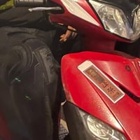تفصيخ ثعلب شتريد موجود اسعار مناسبة غراض رمبة  07746358235بي واتساب