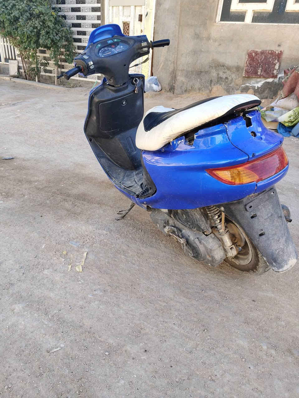 فراشة فحل للبيع السعر 275
للأستفسار ***********
