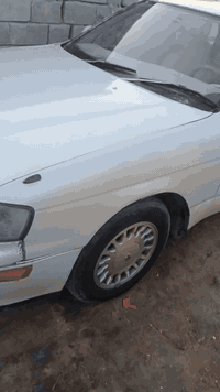 بطه متصل مراوس فقط تفاصيل داخل الفيديو 07705061202 واتساب