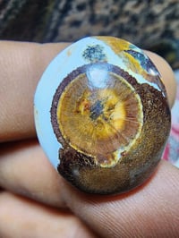 عقيق يماني • داودي