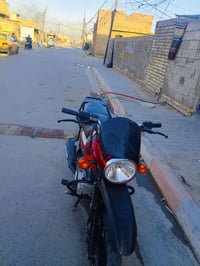 بوكسر • موديل ٢٣ • بدون اوراق