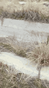 خوان عندي قطعة أرض مساحة نصف دونم موقع التاجي قرب بيت طلبوش مجاور بيت ...