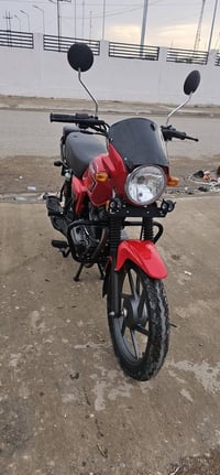 كيوي لل بيع 07723980985