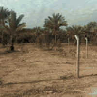 يوجود دونمين طابو زراعي سند25 سعر دونم 250 قريبأ ع نهر دجلة موقع مرتب ...